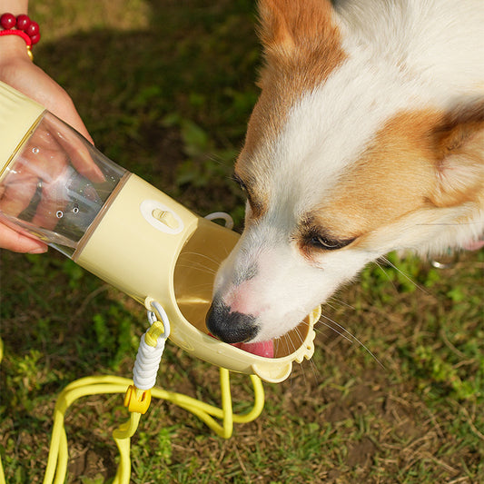 2 in 1 Dog and Cat Water Bottle & Food Container – Travel Friendly™